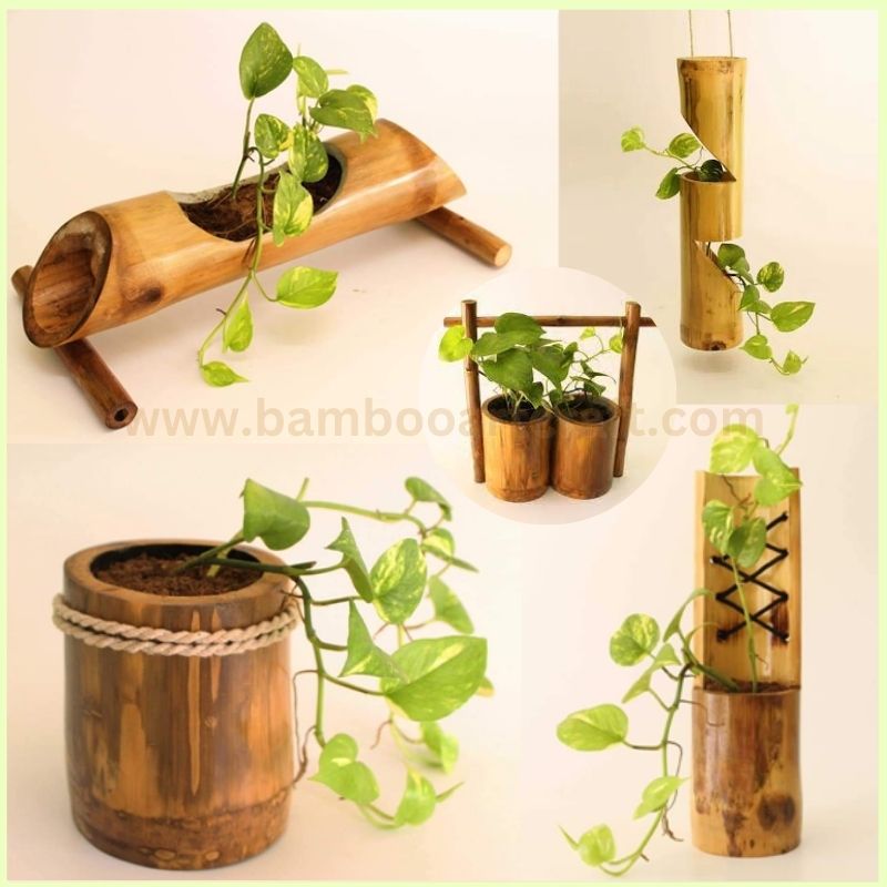 Bamboo Planters