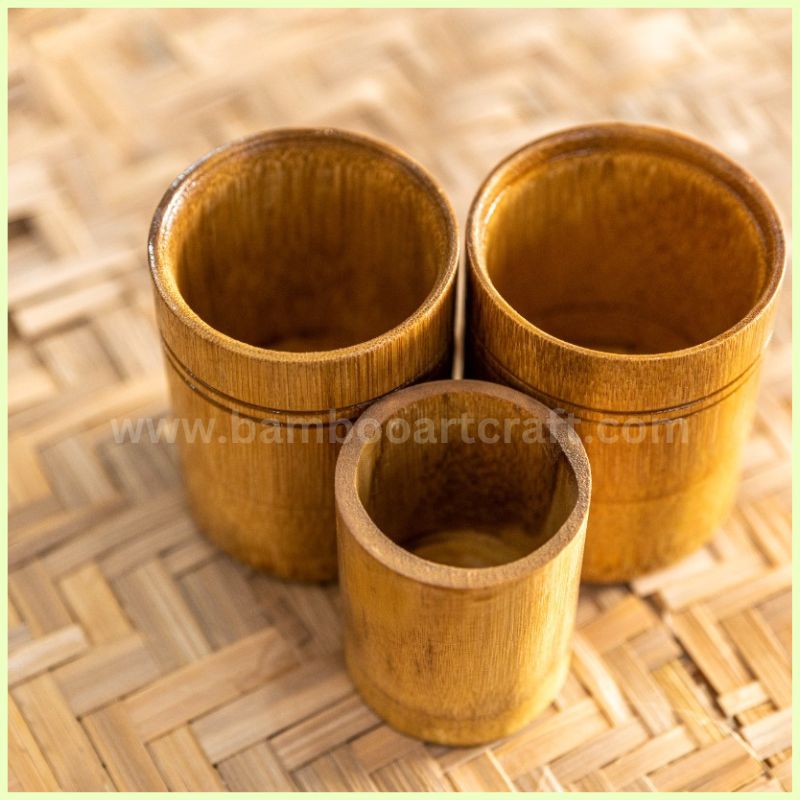 Bamboo PenHolders